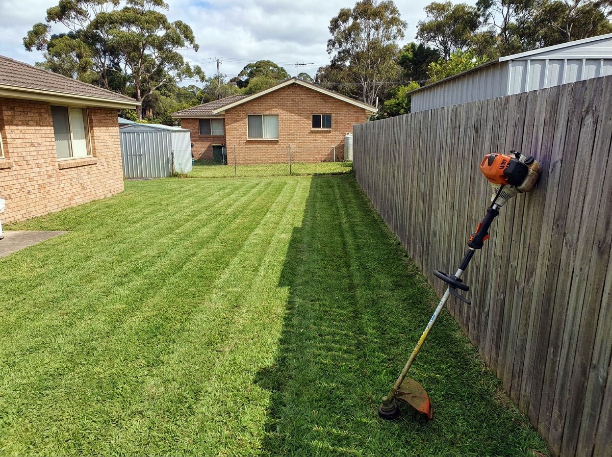 Tidy hedge and lawn